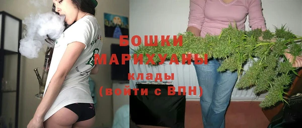PSILOCYBIN Вязники