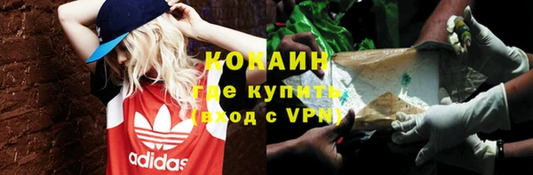 PSILOCYBIN Вязники
