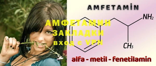 твердый Вяземский