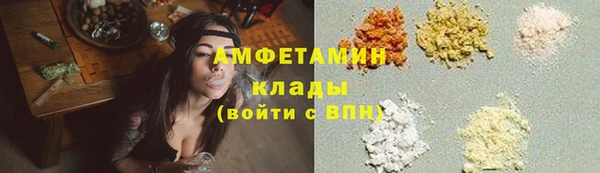 твердый Вяземский