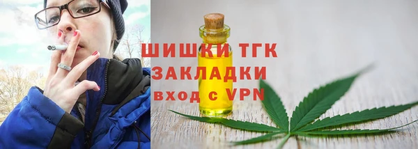 твердый Вяземский