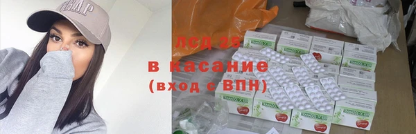 твердый Вяземский