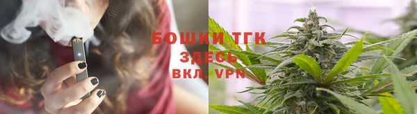твердый Вяземский