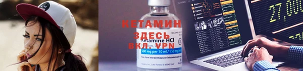 твердый Вяземский