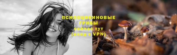 прущая мука Вязьма