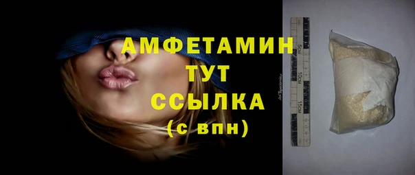 твердый Вяземский