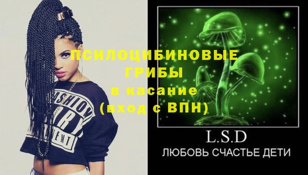 PSILOCYBIN Вязники