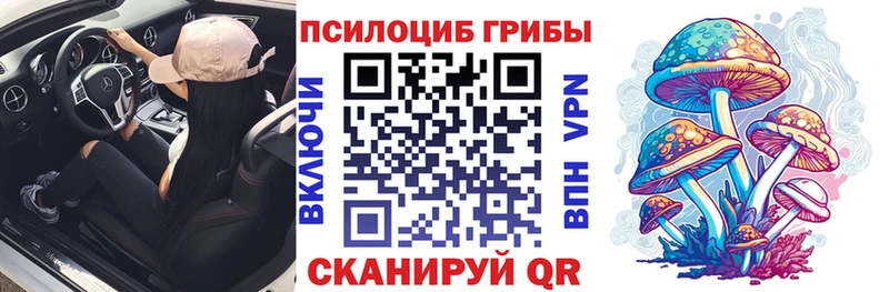 Псилоцибиновые грибы Magic Shrooms  Купить  Кулебаки 