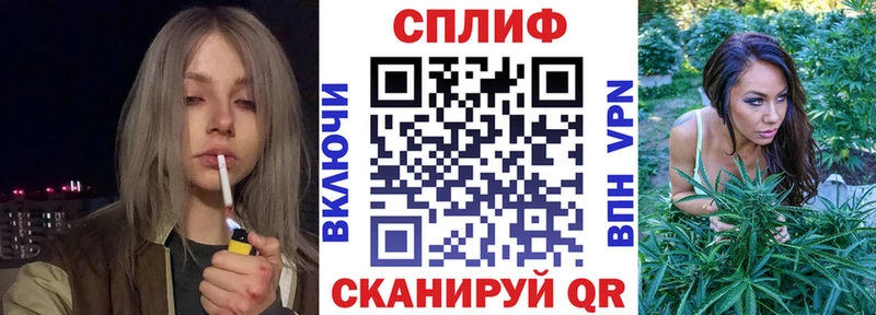 Купить где  Кулебаки  Канабис конопля 